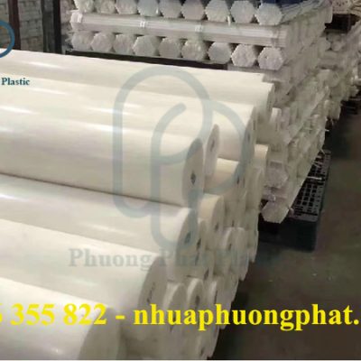 CÂY NHỰA POM 100MM