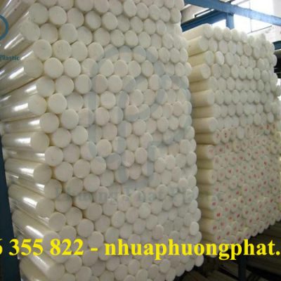 CÂY NHỰA POM 110MM