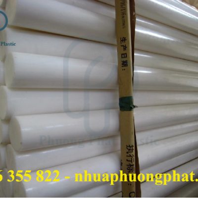 CÂY NHỰA POM 60MM